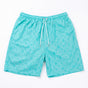 STZ Swim Shorts Turquoise