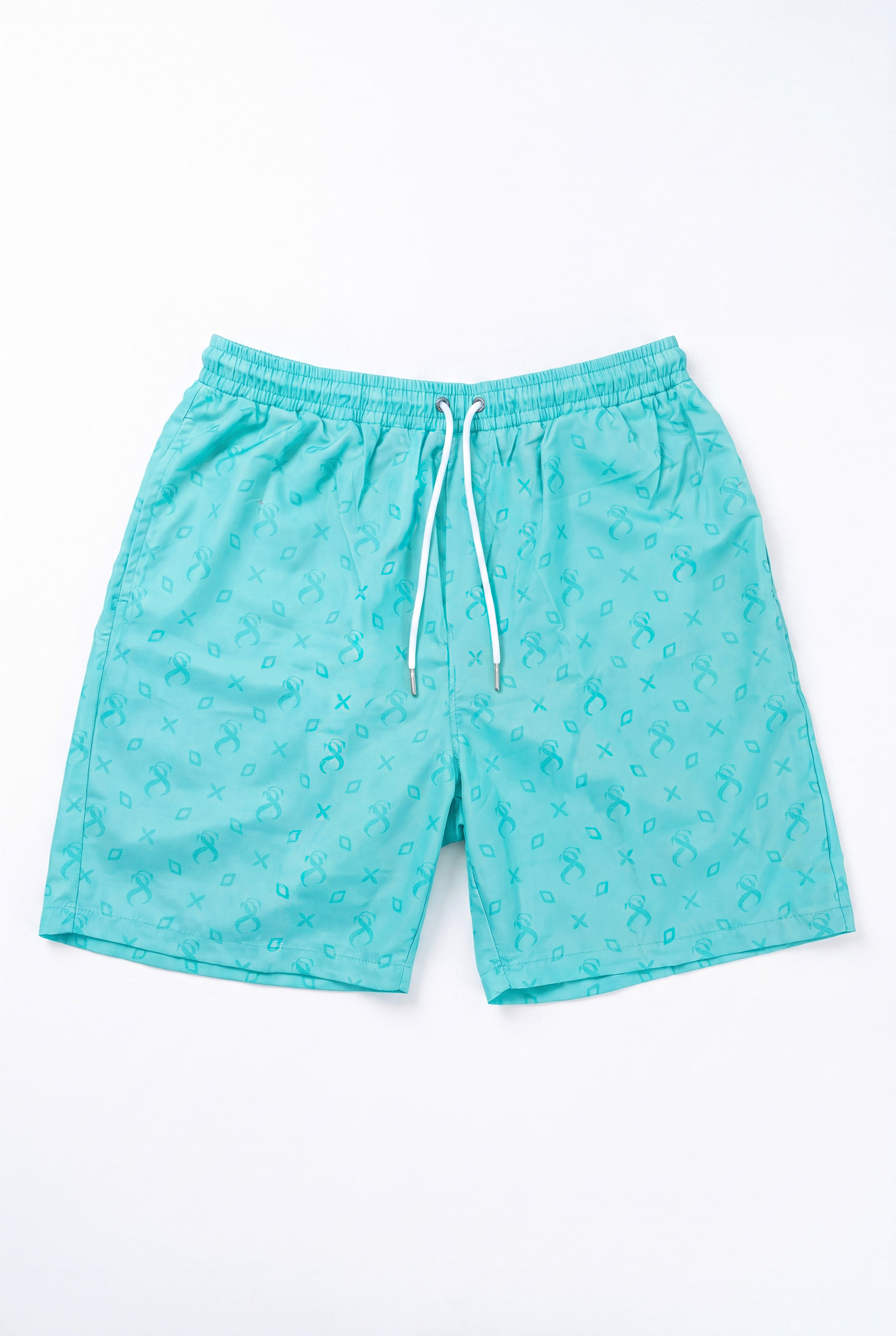 STZ Swim Shorts Turquoise