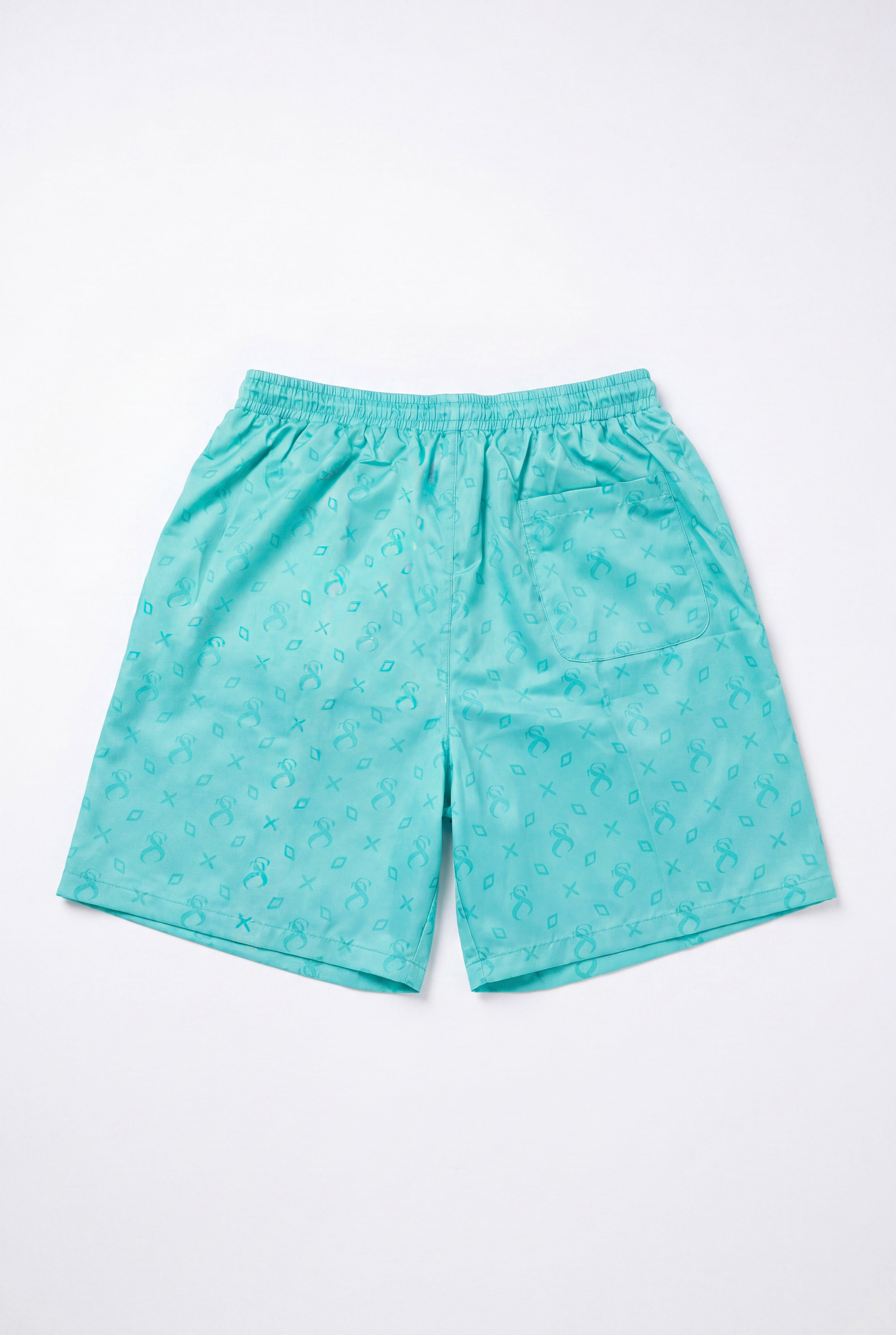 STZ Swim Shorts Turquoise